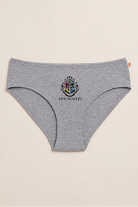 Zivame Girls Harry Potter Briefs (Pack of 2) - Multicolor — thumbnail 5